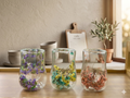 Double wall dried flower glass